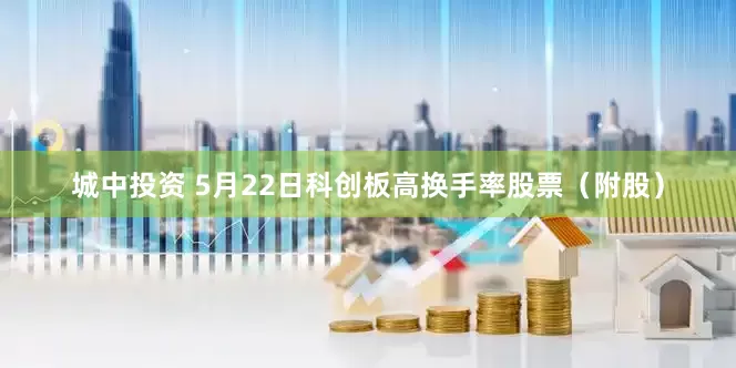 城中投资 5月22日科创板高换手率股票（附股）
